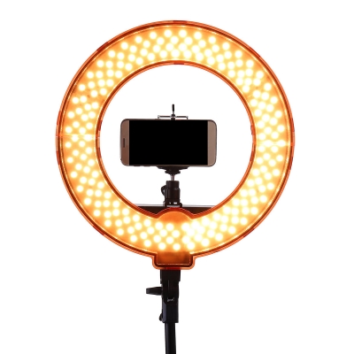 12 Inch Dimmable LED Video Ring Light with Diffuser Tripod Stand Holder for Youtube Tik Tok Live Streaming COD [1639911]