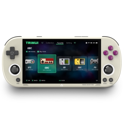 HANHIBR Trimui Smart Pro 4.96Inch IPS Screen 256GB Handheld Game Console Open Source Built-in 26 Simulators 13000 Games 5000mAh Battery Retro Video Games Console with RGB Dual Joystick [2005961]